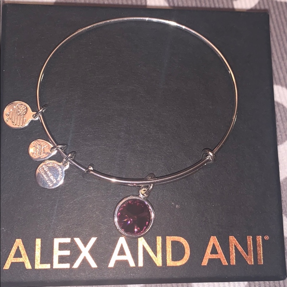 Purple and silver Alex and Ani bracelet